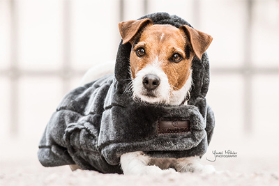 Preview: Kentucky Dog Blanket Fake Fur