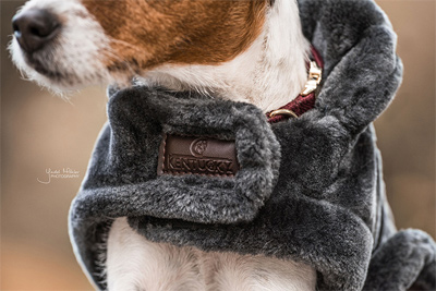 Preview: Kentucky Dog Blanket Fake Fur