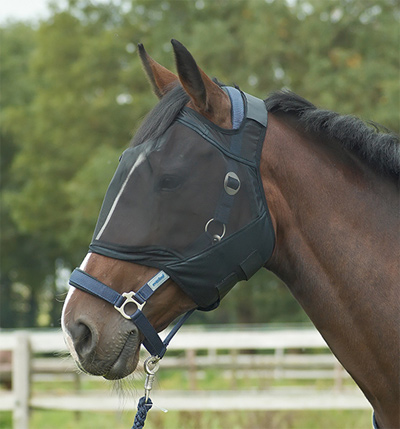 Preview: Busse Fly Mask Fly Guard