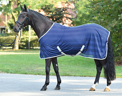 Preview: Busse Fly Rug Stripe