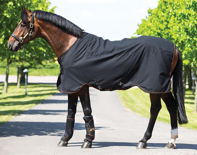 Preview: Horseware Stable Rug Rambo Ionic