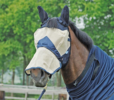 Preview: Busse Fly Mask Fly Stop
