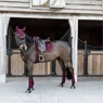 Vorschau: Kentucky Horsewear Schabracke Velvet