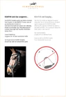Preview: Schockemoehle Sports Anatomical Bridle Equitus Delta