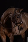 Preview: Schockemöhle Sports Bridle Westminster