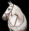 Preview: Horseware Bridle Micklem 2 Competition