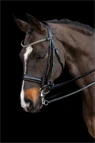 Preview: Schockemöhle Sports Double Bridle Brindisi