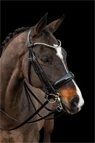 Preview: Schockemöhle Sports Double Bridle Milazzo