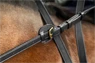 Preview: Dyon Leather Reins adjustable