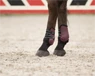 Preview: QHP Fetlock Boots Champion