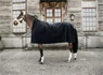Preview: Kentucky Horsewear Heavy Fleece Rug Square