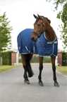 Equine-Microtec Abschwitzdecke Fast Dry