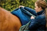 Preview: Horseware Outdoor Rug Amigo Hero Ripstop Fleece Lining