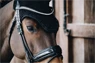 Vorschau: Kentucky Horsewear Fliegenmütze Wellington Glitter Band
