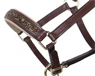 Preview: QHP Foal Halter Leather Lupine