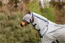 Preview: Horseware Fly Mask Mio