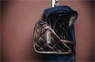 Preview: Kentucky Horsewear Bridle Bag