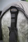 Vorschau: Kentucky Horsewear Tail Guard & Tail Bag