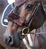 Vorschau: Kentucky Horsewear Nasenriemen-Abdeckung