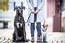 Preview: Kentucky Dogwear Plaited Nylon Dog Lead 120cm