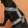 Vorschau: Kentucky Dogwear Hundegeschirr Aktiv Reflektierend