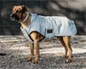 Vorschau: Kentucky Dogwear Hundemantel Reflektierend &amp; Wasserabweisend Bauchlatz | 150g